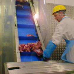 Meat Handling Conveyor Elevator